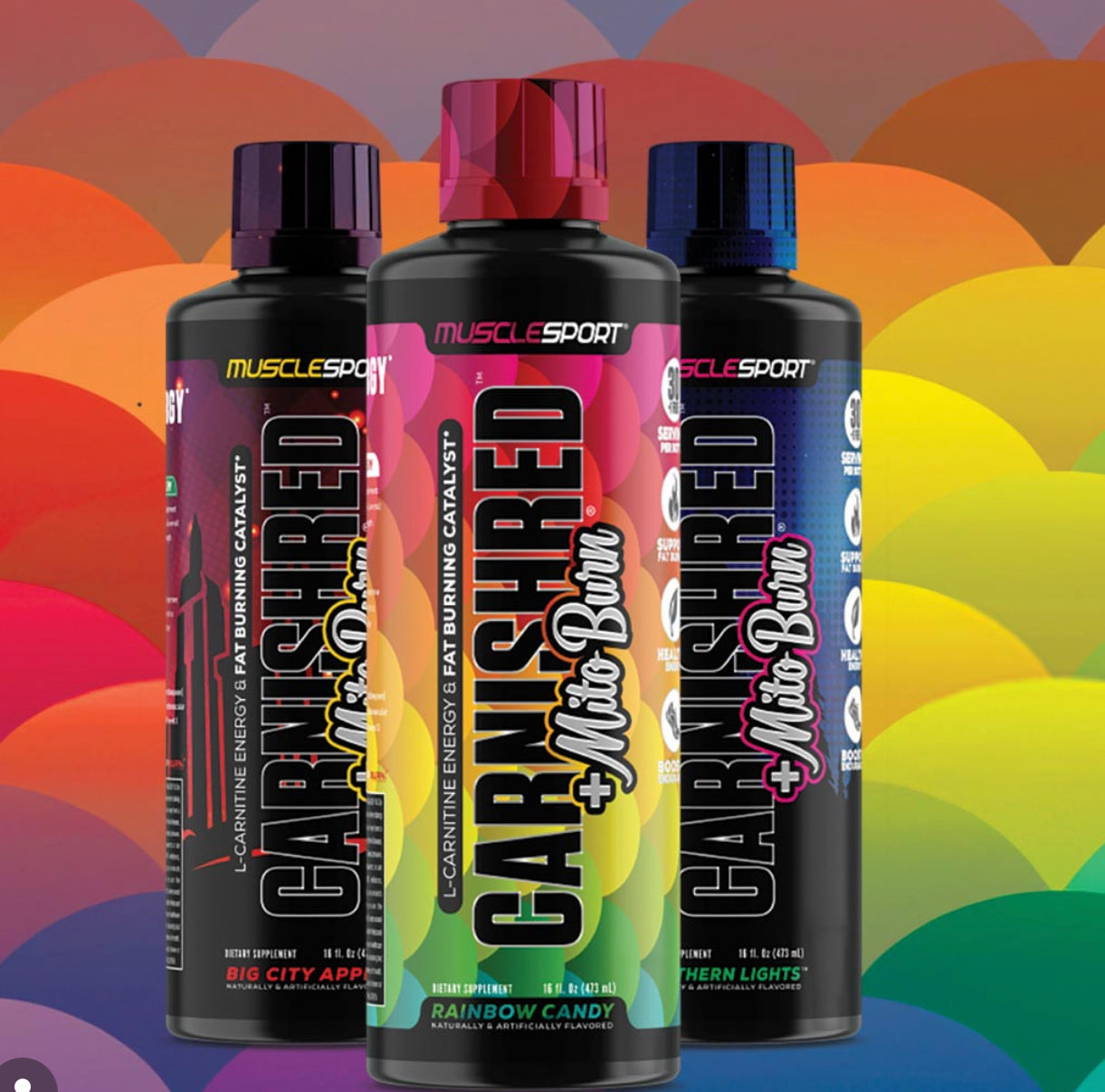CarniShred®+ Mitoburn® 16oz Liquid - Non Stim Fat Burner - Workout Catalyst