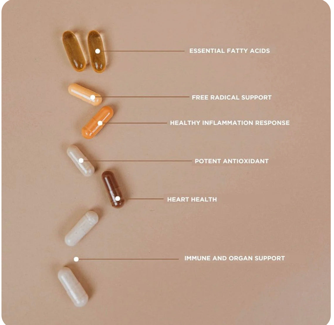 REVIVE Essential Vitamins Pack
All in One Health Formula