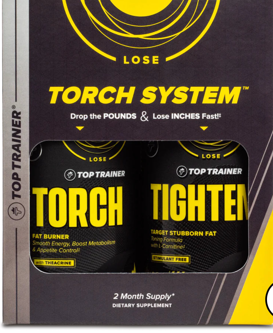 TORCH SYSTEM