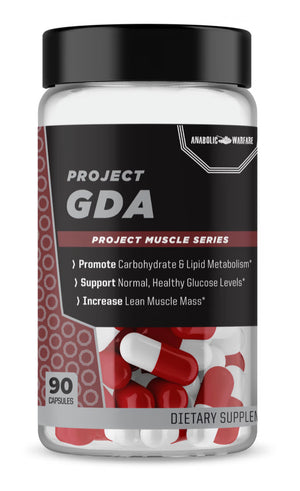 GUERRE ANABOLIC Projet GDA 